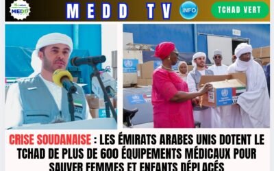Crise soudanaise : les Émirats arabes unis dotent le Tchad de plus de 600 équipements médicaux pour sauver femmes et enfants déplacés