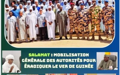 Salamat : mobilisation générale des autorités pour éradiquer le ver de Guinée