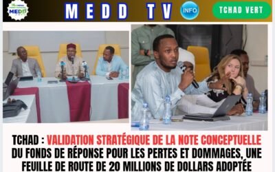 Tchad : Validation stratégique de la note conceptuelle du Fonds de Réponse pour les Pertes et Dommages, une feuille de route de 20 millions de dollars adoptée