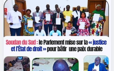 Soudan du Sud : le Parlement mise sur la « justice et l’État de droit » pour bâtir une paix durable