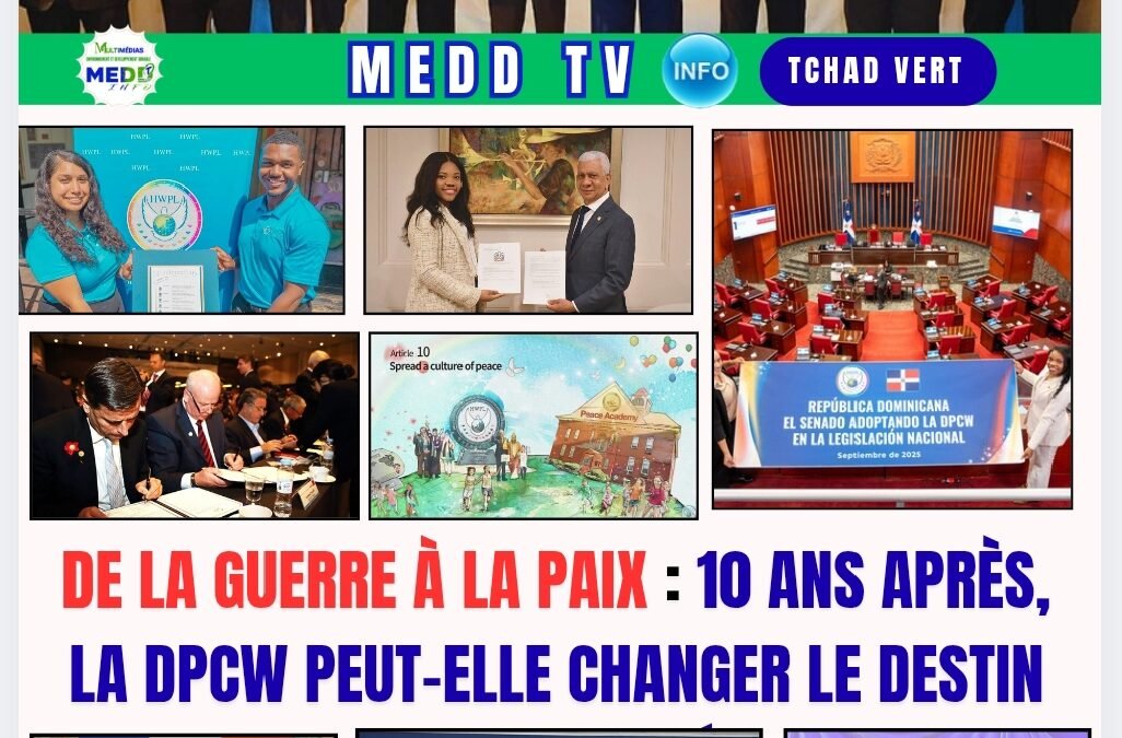 De la guerre à la paix : quel avenir pour l’humanité ?