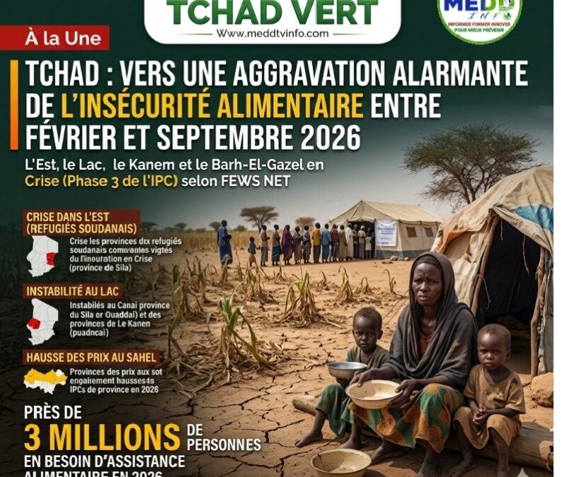 Tchad : vers une aggravation alarmante de l’insécurité alimentaire entre février et septembre 2026