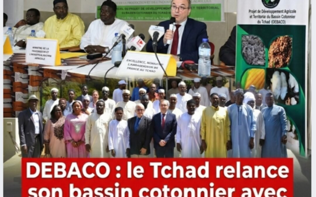 DEBACO : le Tchad relance son bassin cotonnier avec l’appui de la France