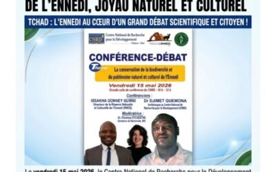 CONFÉRENCE :  le CNRD ouvre le débat sur la préservation de l’Ennedi, joyau naturel et culturel