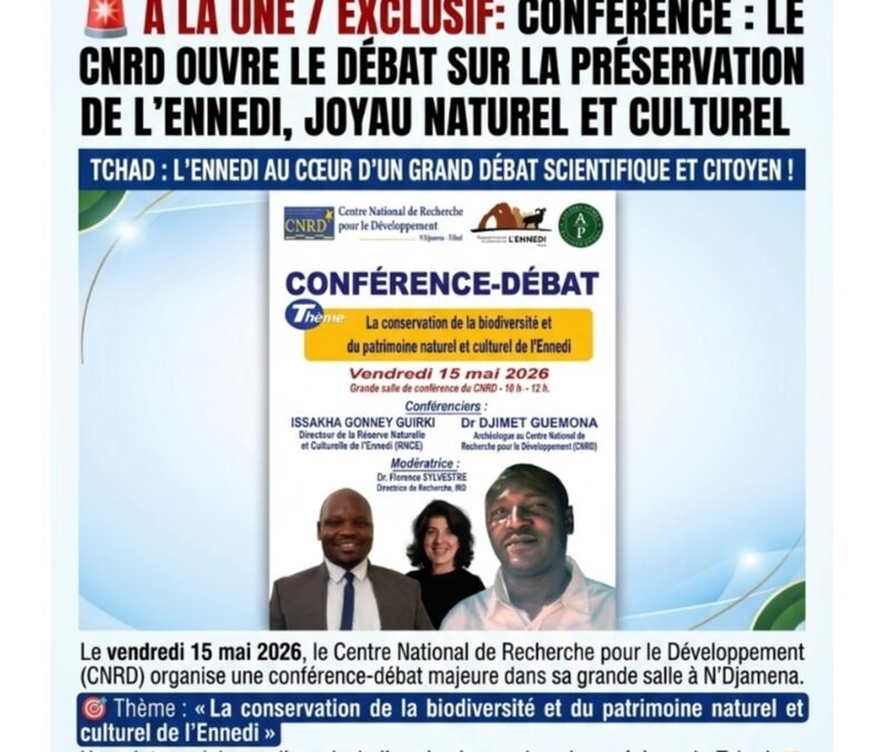 CONFÉRENCE :  le CNRD ouvre le débat sur la préservation de l’Ennedi, joyau naturel et culturel