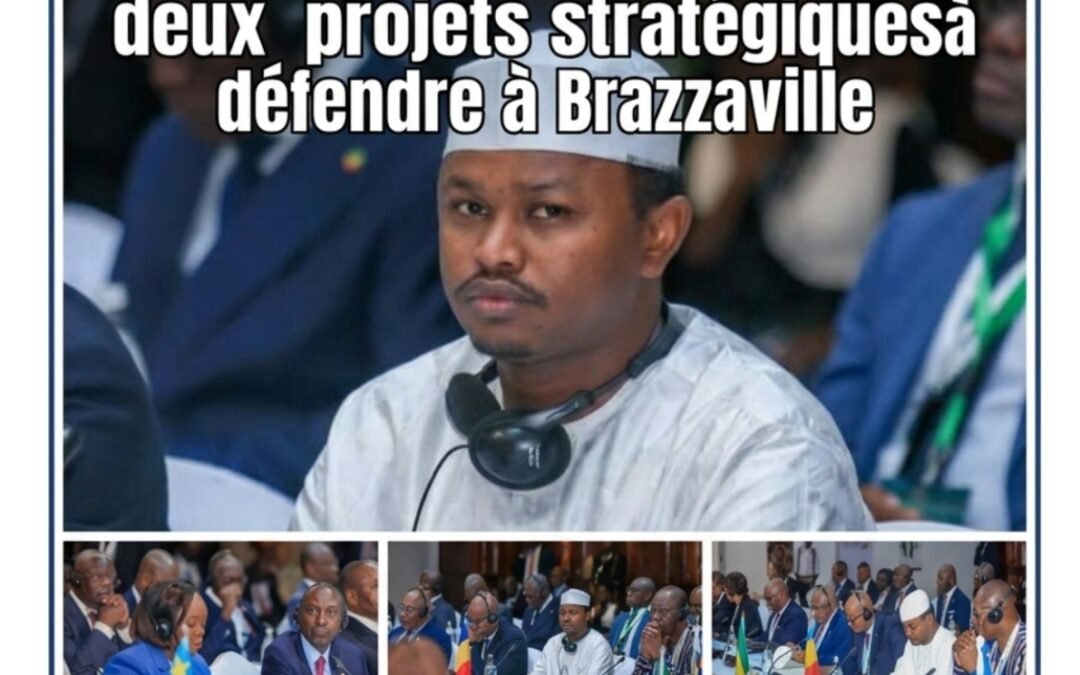Bassin du Congo : le Tchad monte au front climatique avec deux projets stratégiques à défendre à Brazzaville