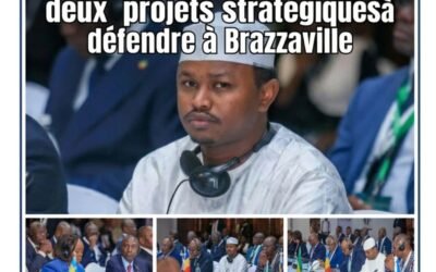 Bassin du Congo : le Tchad monte au front climatique avec deux projets stratégiques à défendre à Brazzaville