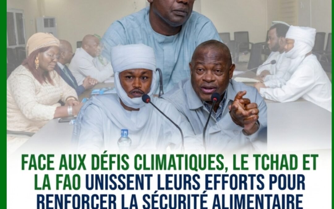 Face aux défis climatiques, le Tchad et la FAO unissent leurs efforts pour renforcer la sécurité alimentaire