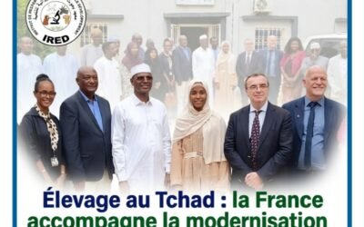 Élevage au Tchad : la France accompagne la modernisation de l’IRED pour une alimentation animale de meilleure qualité