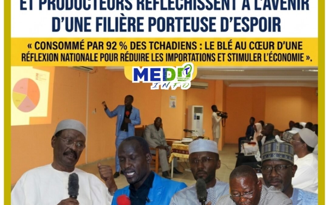 Blé au Tchad : chercheurs, étudiants et producteurs réfléchissent à l’avenir d’une filière porteuse d’espoir
