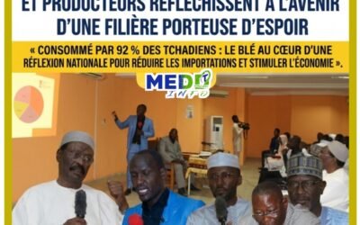 BlĂ© au Tchad : chercheurs, Ă©tudiants et producteurs rĂ©flĂ©chissent Ă lâavenir dâune filiĂšre porteuse dâespoir