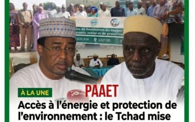 Accès à l’énergie et protection de l’environnement : le Tchad mise sur une planification concertée pour un développement durable