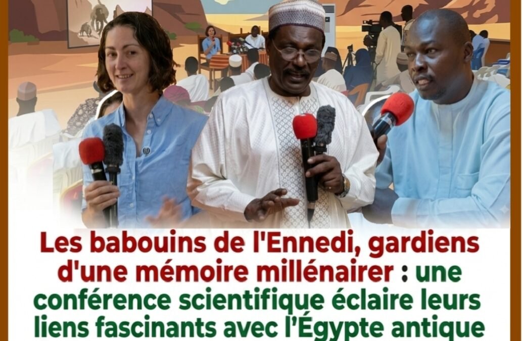 Les babouins de l&rsquo;Ennedi, gardiens d&rsquo;une mémoire millénaire : une conférence scientifique éclaire leurs liens fascinants avec l&rsquo;Égypte antique