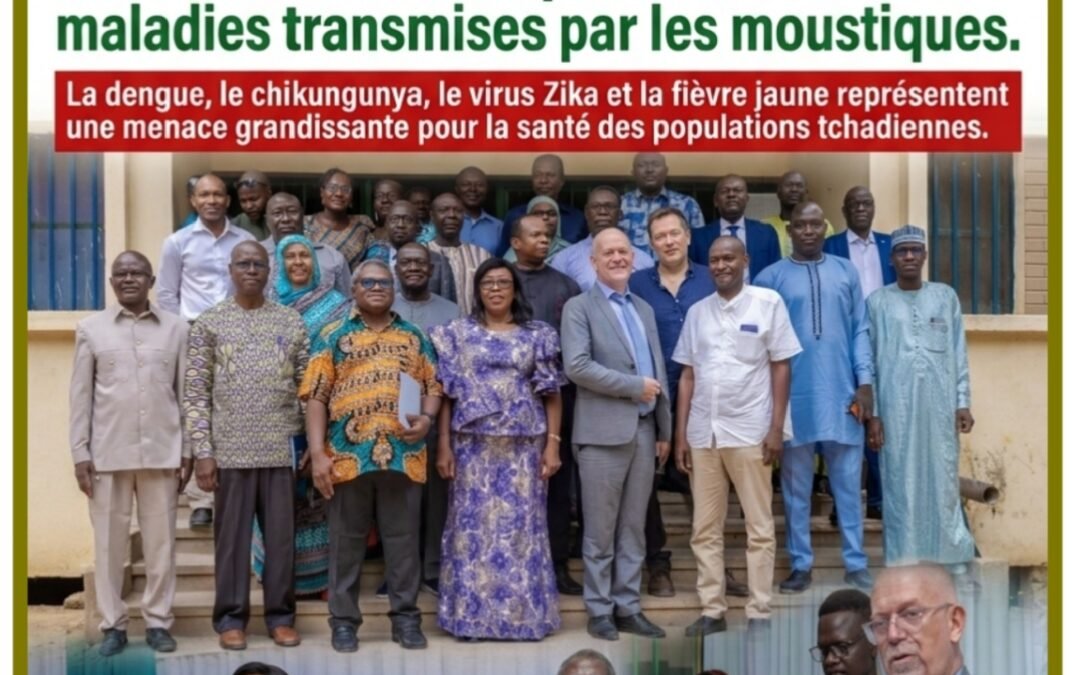 Santé publique : la France et le Tchad unissent leurs forces pour renforcer la surveillance des maladies transmises par les moustiques