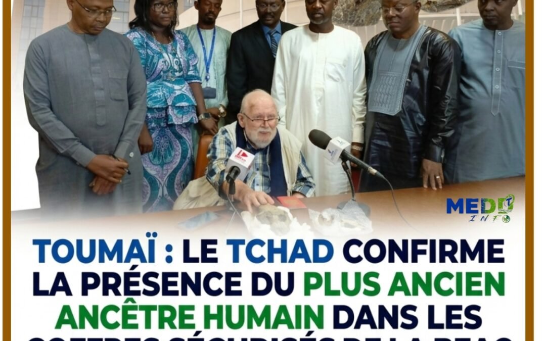 Toumaï : le Tchad confirme la présence du plus ancien ancêtre humain dans les coffres sécurisés de la BEAC