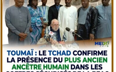 Toumaï : le Tchad confirme la présence du plus ancien ancêtre humain dans les coffres sécurisés de la BEAC