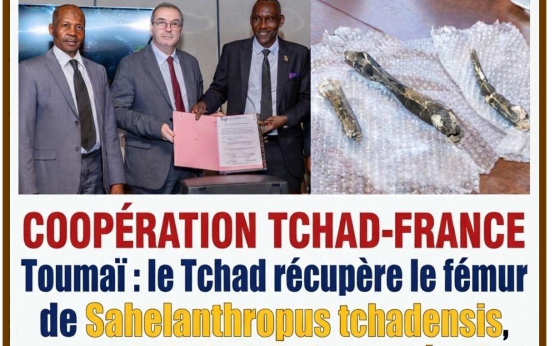 Le fémur de Toumaï retrouve le Tchad : un retour historique qui renforce la coopération scientifique avec la France