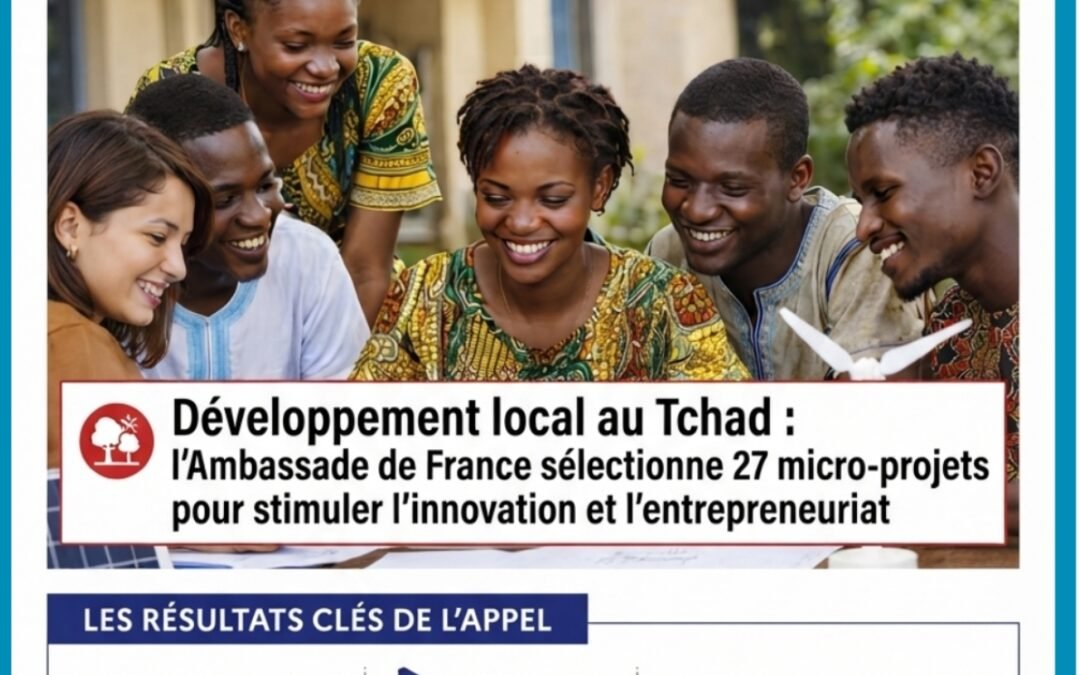 Développement économique au Tchad : l&rsquo;Ambassade de France sélectionne 27 micro-projets dans 11 provinces