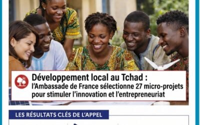 Développement économique au Tchad : l’Ambassade de France sélectionne 27 micro-projets dans 11 provinces