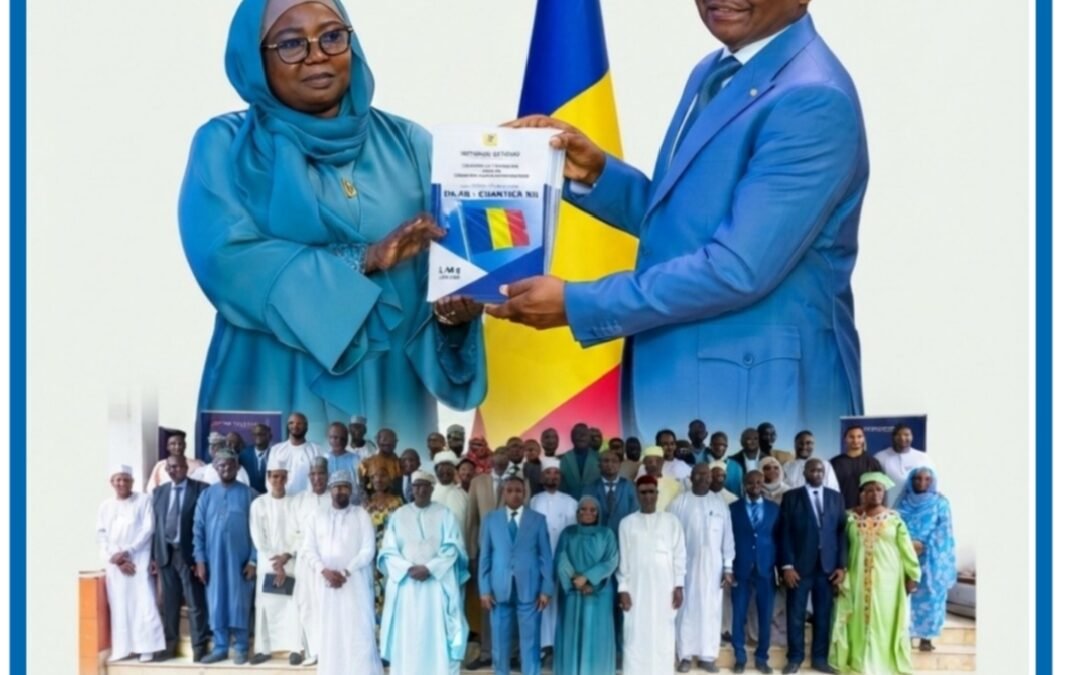 GOUVERNANCE : LE PREMIER MINISTRE ALLAH-MAYE HALINA EXIGE DES RÉSULTATS ET UNE REDDITION DES COMPTES ACCRUE