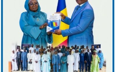 GOUVERNANCE : LE PREMIER MINISTRE ALLAH-MAYE HALINA EXIGE DES RÉSULTATS ET UNE REDDITION DES COMPTES ACCRUE