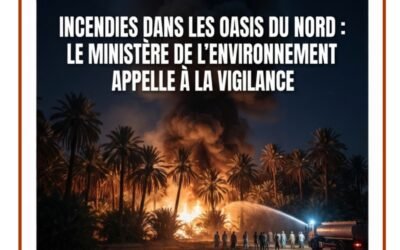 Incendies dans les oasis du Nord : le ministère de l’Environnement appelle à la vigilance