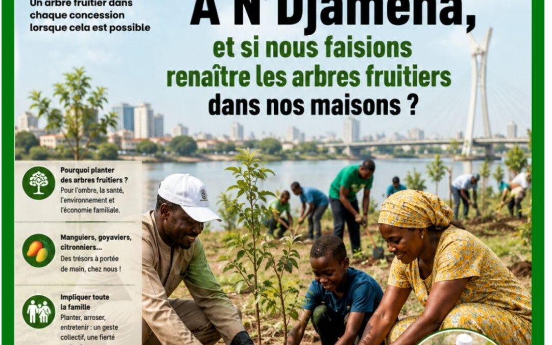 À N’Djamena, et si nous faisions renaître les arbres fruitiers dans nos maisons ?