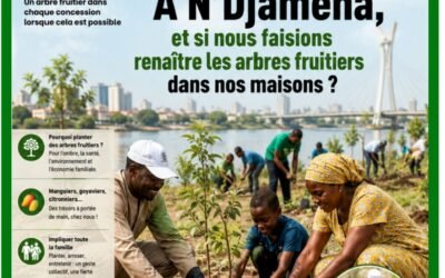 À N’Djamena, et si nous faisions renaître les arbres fruitiers dans nos maisons ?