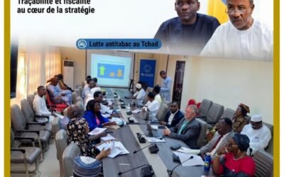 Lutte antitabac au Tchad : le gouvernement accélère la traçabilité et mise sur une fiscalité renforcée