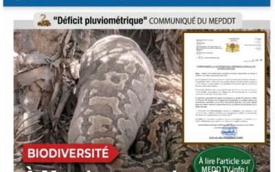 Kanem : le python capturé à Mondo sera transféré au parc national de Zah Soo