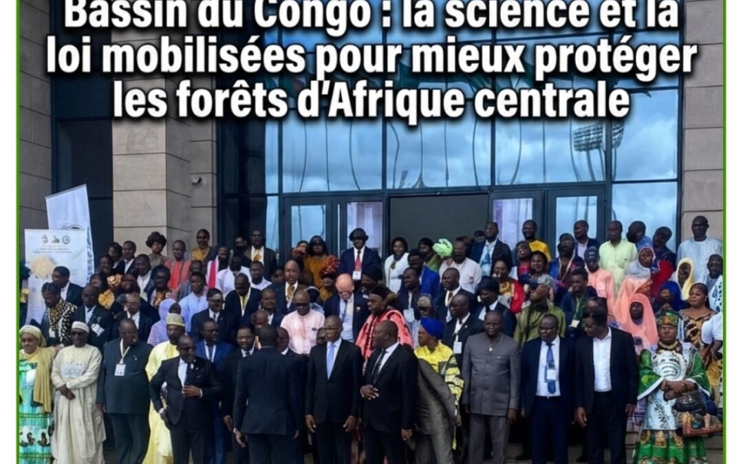 Bassin du Congo : la science et la loi mobilisées pour mieux protéger les forêts d’Afrique centrale