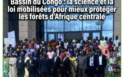Bassin du Congo : la science et la loi mobilisées pour mieux protéger les forêts d’Afrique centrale