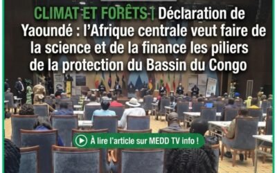 CLIMAT ET FORÊTS | Déclaration de Yaoundé : l’Afrique centrale veut faire de la science et de la finance les piliers de la protection du Bassin du Congo