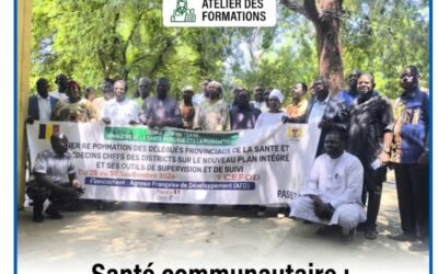 Santé communautaire : le Tchad renforce les capacités des acteurs pour rapprocher les soins des populations