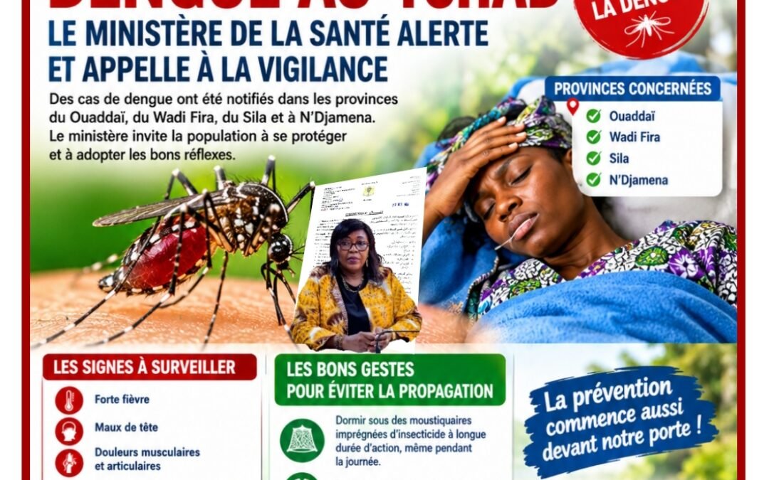 COMMUNIQUÉ-DENGUE AU TCHAD : LE MINISTÈRE DE LA SANTÉ ALERTE ET APPELLE À LA VIGILANCE