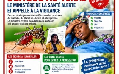 COMMUNIQUÉ-DENGUE AU TCHAD : LE MINISTÈRE DE LA SANTÉ ALERTE ET APPELLE À LA VIGILANCE