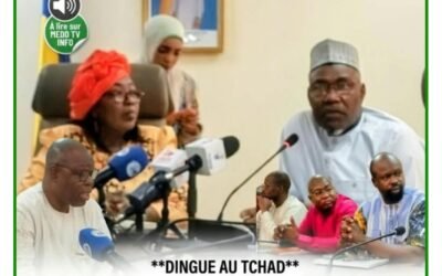 Dengue au Tchad : 2 929 cas suspects et 7 décès, les autorités renforcent la mobilisation