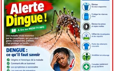 SANTÉ PUBLIQUE | DENGUE : UNE FIÈVRE À NE PAS SOUS-ESTIMER, LES BONS GESTES PEUVENT SAUVER DES VIES !