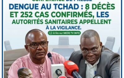 DENGUE AU TCHAD : 8 DÉCÈS ET 252 CAS CONFIRMÉS, LES AUTORITÉS SANITAIRES APPELLENT À LA VIGILANCE