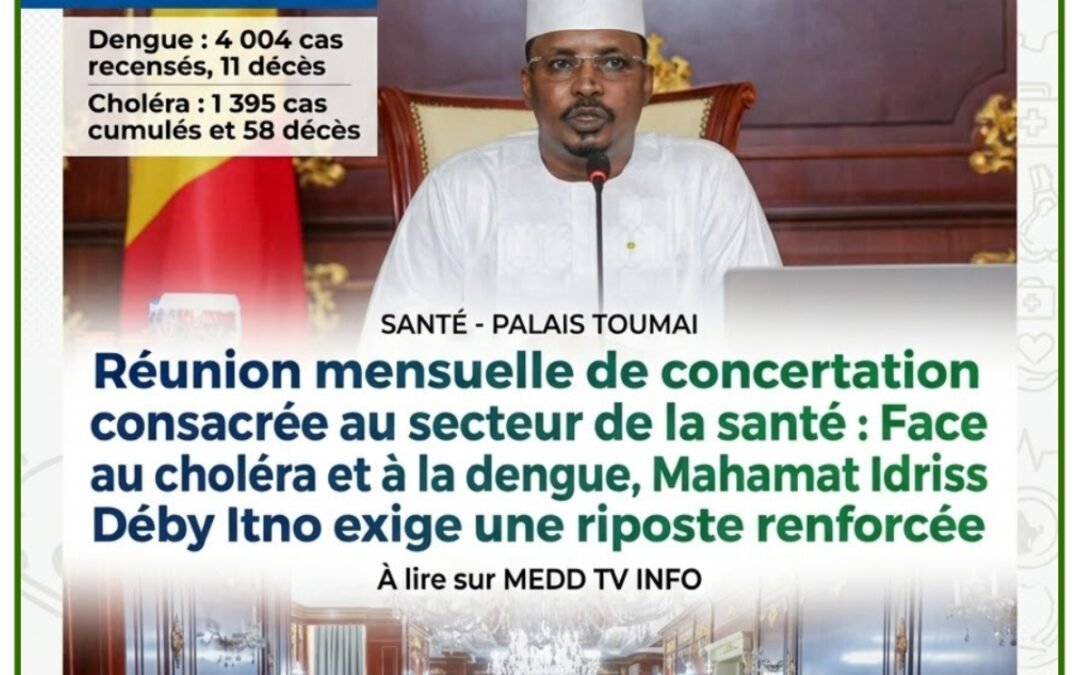 TCHAD : Face au choléra et à la dengue, Mahamat Idriss Déby Itno exige une riposte renforcée