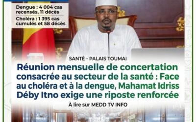 TCHAD : Face au choléra et à la dengue, Mahamat Idriss Déby Itno exige une riposte renforcée