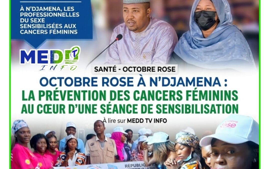 OCTOBRE ROSE : À N’DJAMENA, LES PROFESSIONNELLES DU SEXE MOBILISÉES CONTRE LES CANCERS FÉMININS